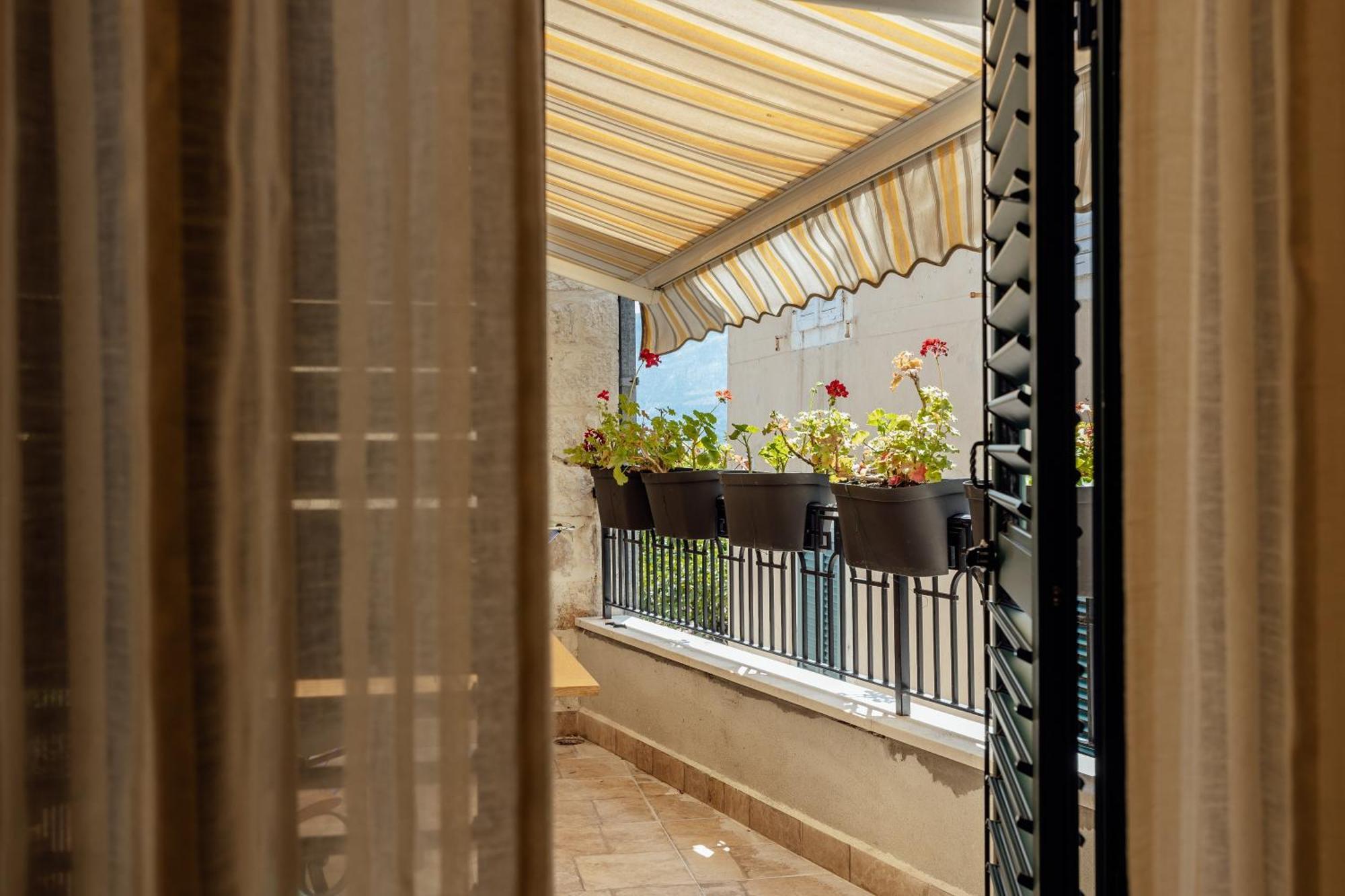 Guesthouse Villa Stari Grad Herceg Novi Eksteriør billede
